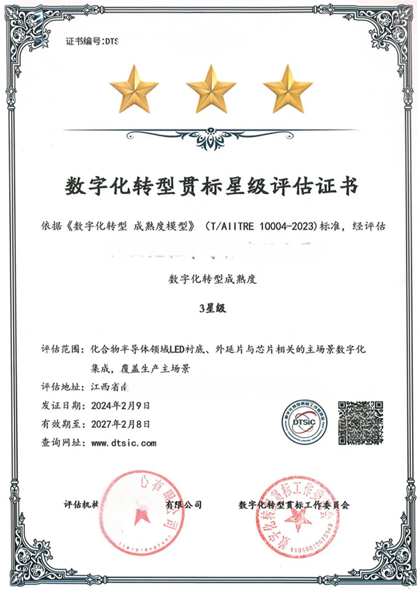 DLMM数字化转型贯标星级评估证书